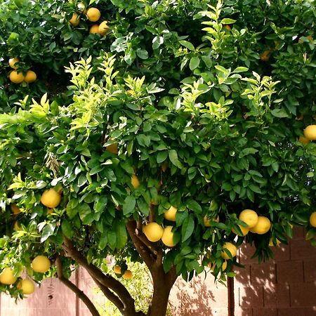 Lemon Tree Hotel Donji Seget Eksteriør billede